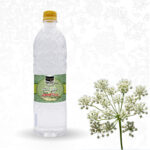 عرق انیسون